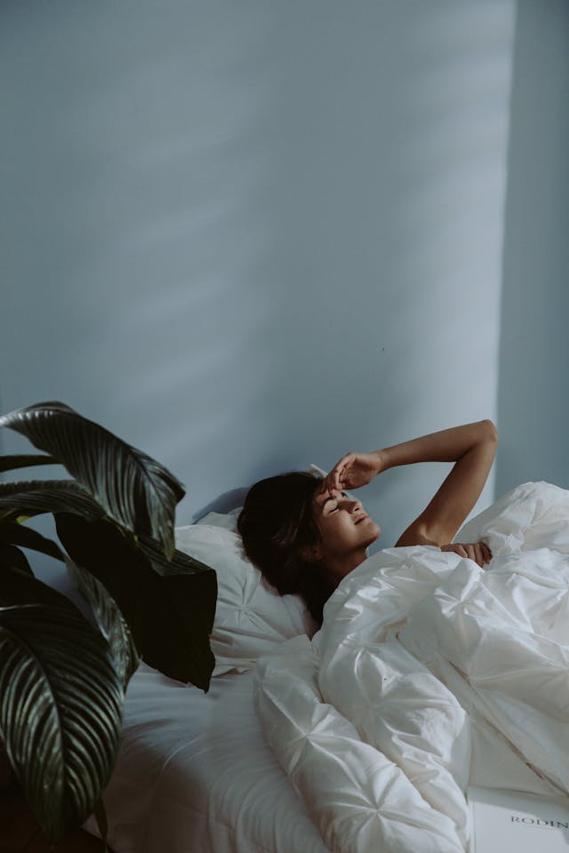 Ramtorellia calm path